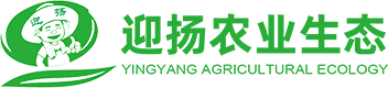 迎揚農業生態